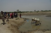 Donating for Water - Giving Life to Humanity
