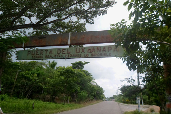 Free Transportation for 48 Children with Cancer