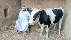 Cattle Breeders