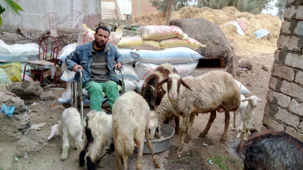 Fund Source of Income for Wheelchair Users - Egypt