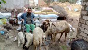 Beneficiary 6 - Shar'ya -(Livestock Project)
