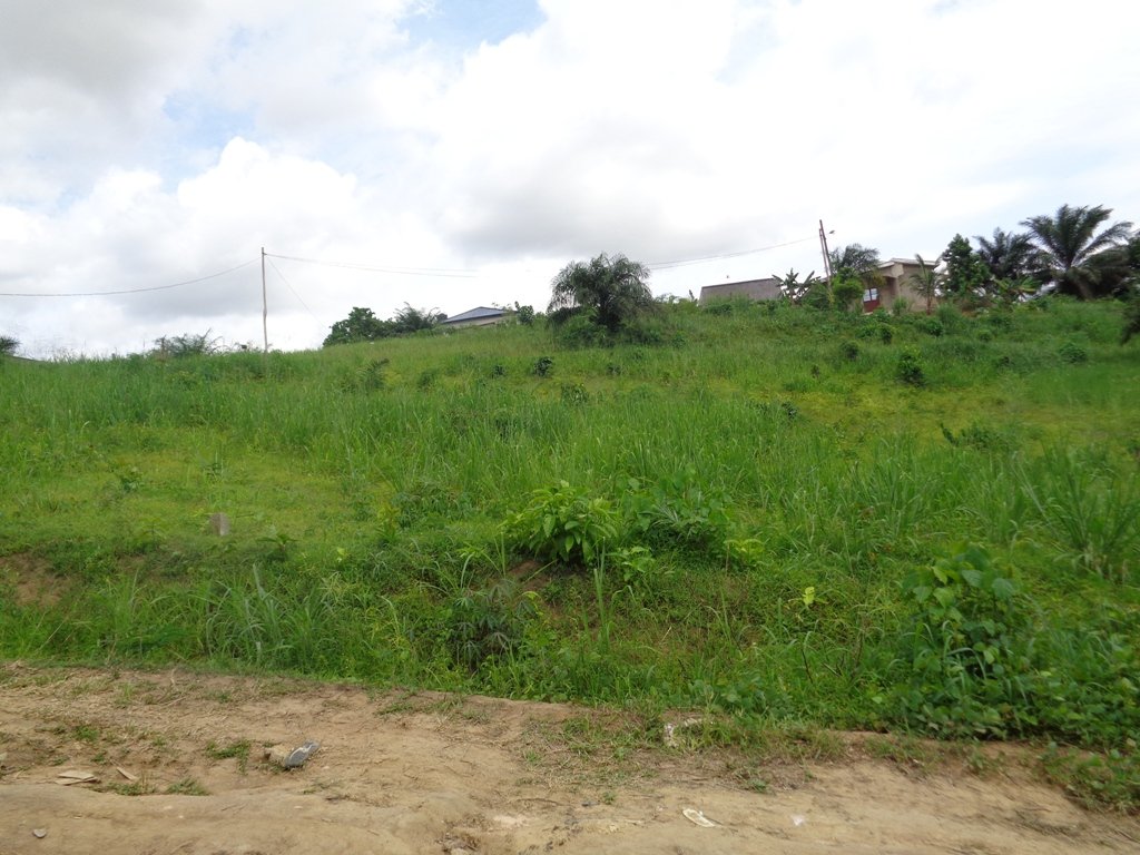 Build a Home for 34+ Street and Vulnerable Youths