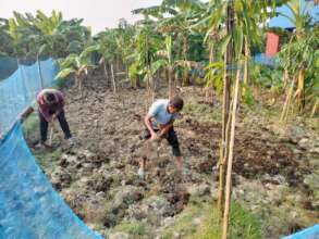 Using composed waste in vegetable field
