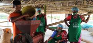 Mustard oil extracting using traditional method