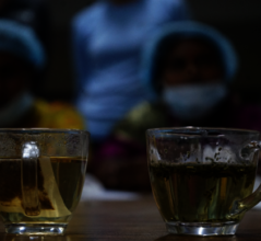 Attractive mangrove tea