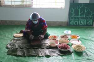 Preparation for mangrove pickle making