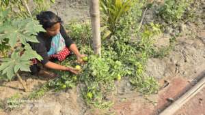 Satisfy the daily need and also economic solvency