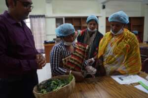 Training on Mangrove tea preparation