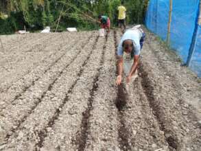 Using organic fertilizer for more production