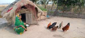Poultry farming