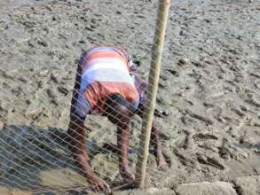 Putting Fence around the land for the protection