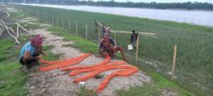Net attaching with bamboo