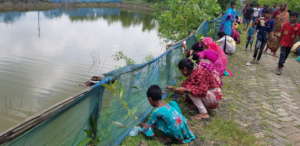 Mangrove plantation by children