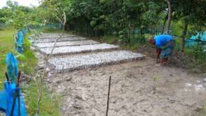 local man working in mangrove nursery