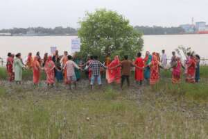 Protecting the tree ensuring their survival