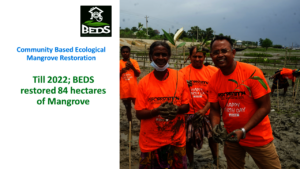 BEDS achievement in Mangrove restoration