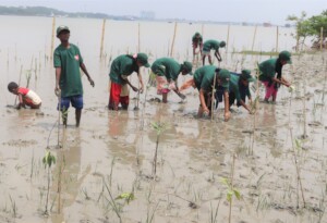 Children planting mangroves