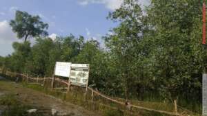 Coastal embankment turn into green belt