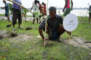 Coastal fisherman engage in mangrove plantation