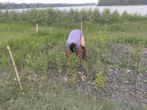 Participation of community in plantation activity
