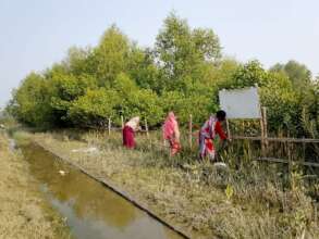 Community people develop mangrove restoration area