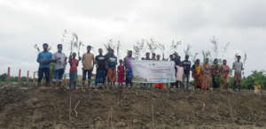 Mangrove plantation inauguration ceremony