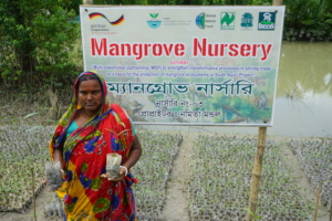 Coastal women earning through mangrove nursery