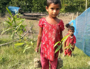 Future generation with mangroves