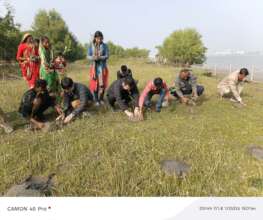 Group of contributor participate in plantation