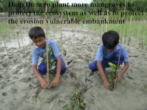 Help them to plant more mangroves