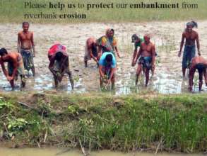 Help them to protect the embankment