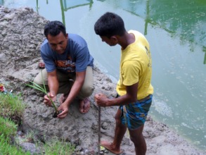 Planting Mangrove for our own protection