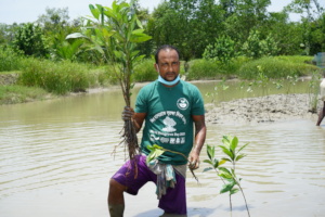 Local people are standing for mangrove