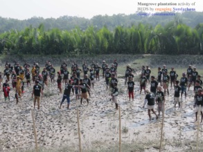 Mangrove Plantation activity