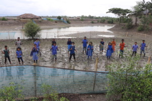Mangrove Plantation by the Students and Villagers
