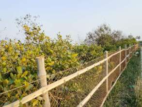 Restoring and protecting the community forest