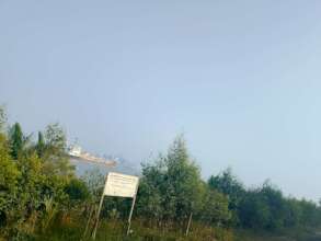 Successful restoration site