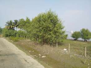 Turn into green belt