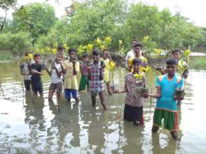 Local youths participated in mangrove plantation