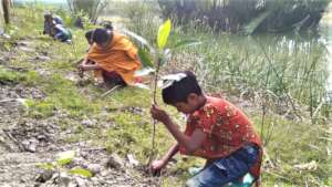 Mangrove plantation by the future generation