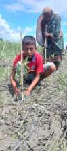 coastal youth planting mangrove