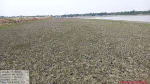 New river bank side land at Sutarkhali Union