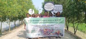 Rally for mangrove plantation