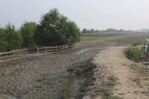 Will be restored by mangrove plantation