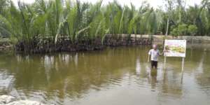 Integrated mangrove aquaculture farm