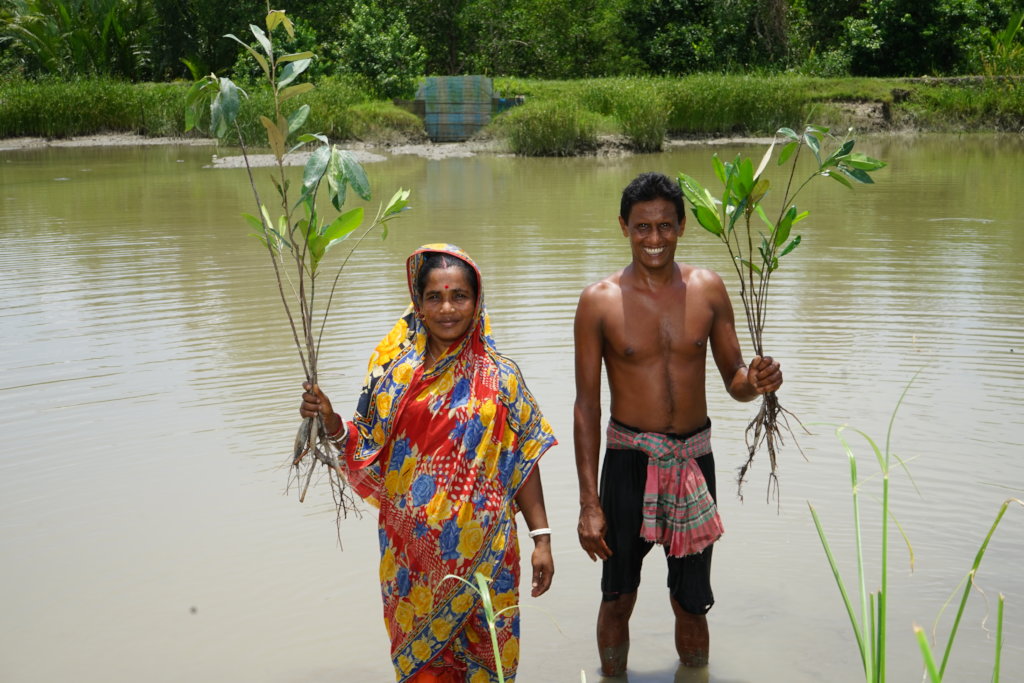 Mangrove Conservation & Restoration in Bangladesh