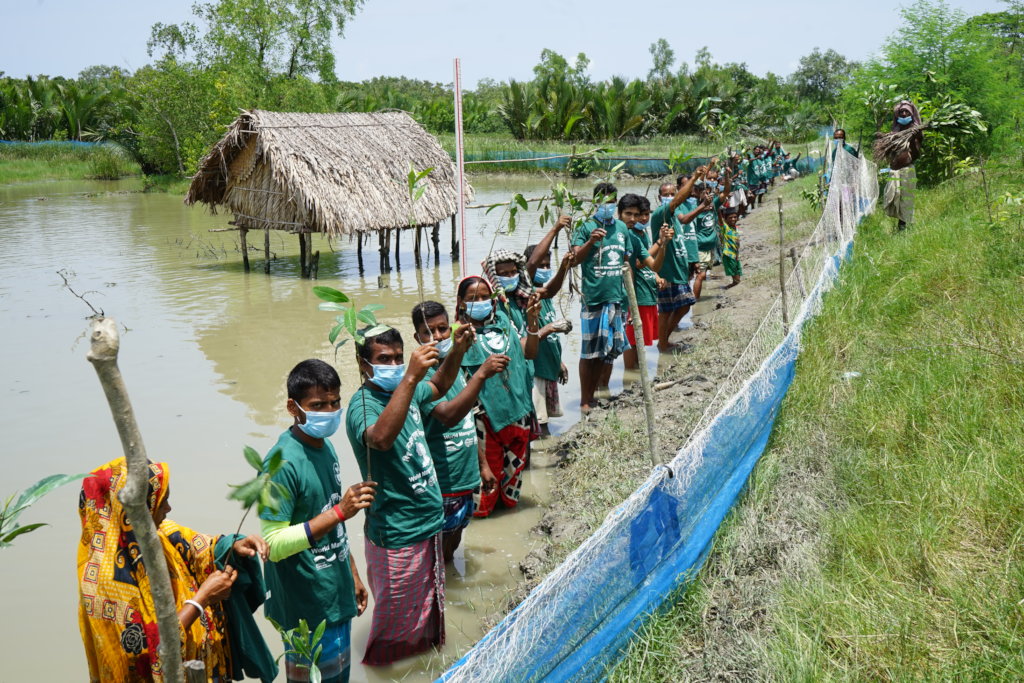 Mangrove Conservation & Restoration in Bangladesh