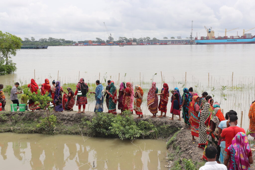 Mangrove Conservation & Restoration in Bangladesh
