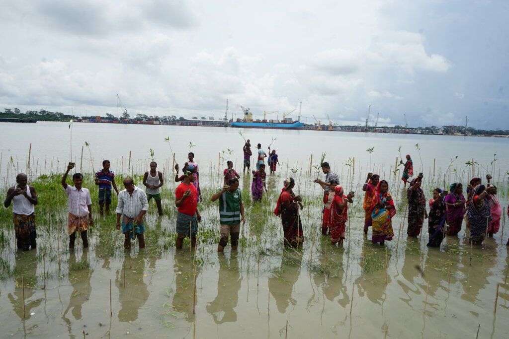 Mangrove Conservation & Restoration in Bangladesh