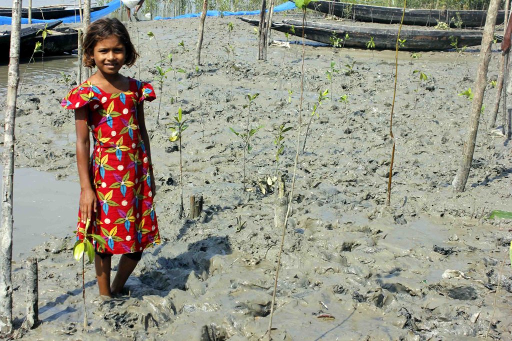 Mangrove Conservation & Restoration in Bangladesh